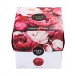Pure Chocolate ексклузивна колекция трюфели с чийзкейк и боровинка Куб 12 
